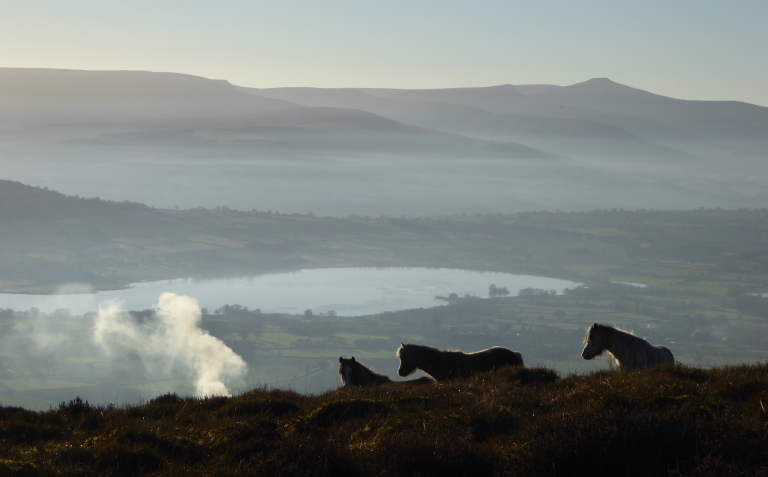 Llangorse Lake